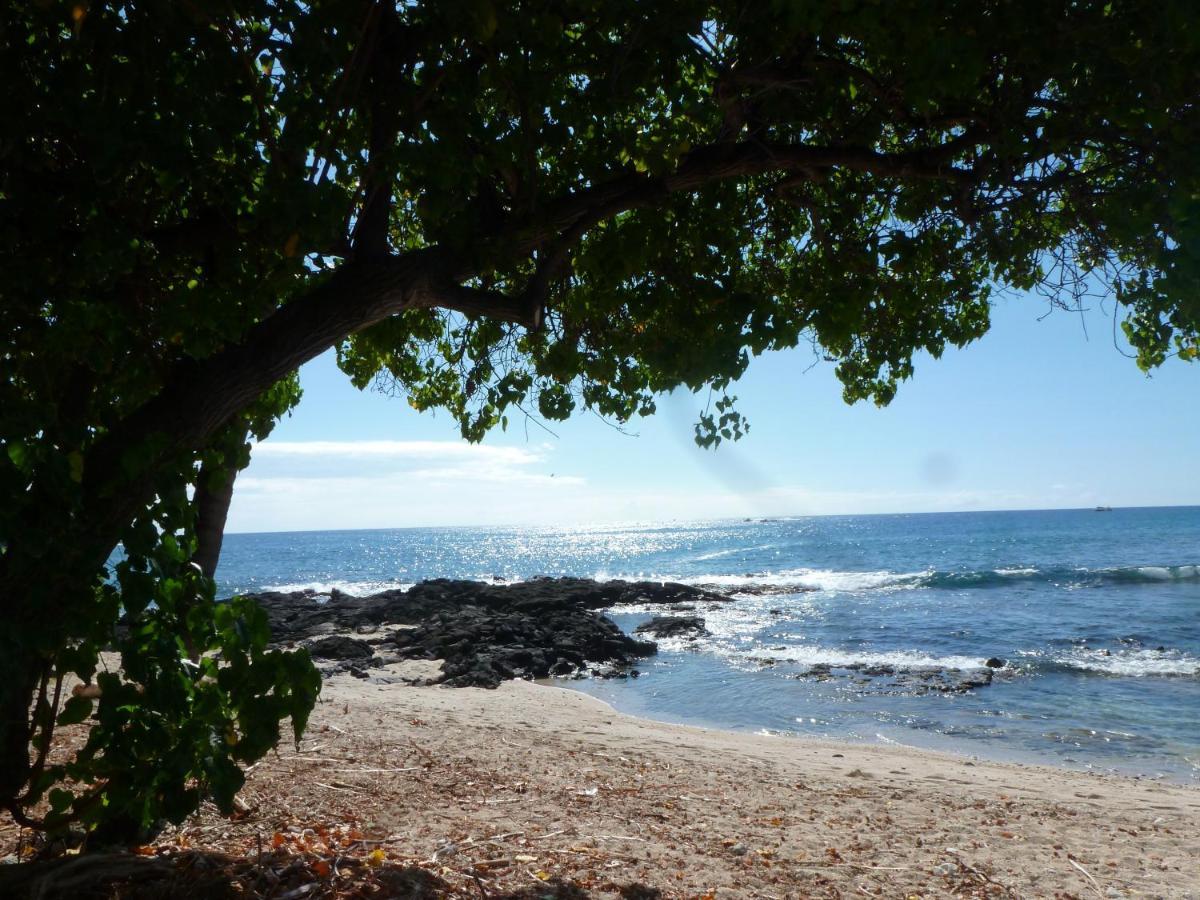 Downtown Hawaiian Paradise Condo With Hot Tub, Pool & Beach - Kona Islander Inn 凯路亚-科纳 外观 照片